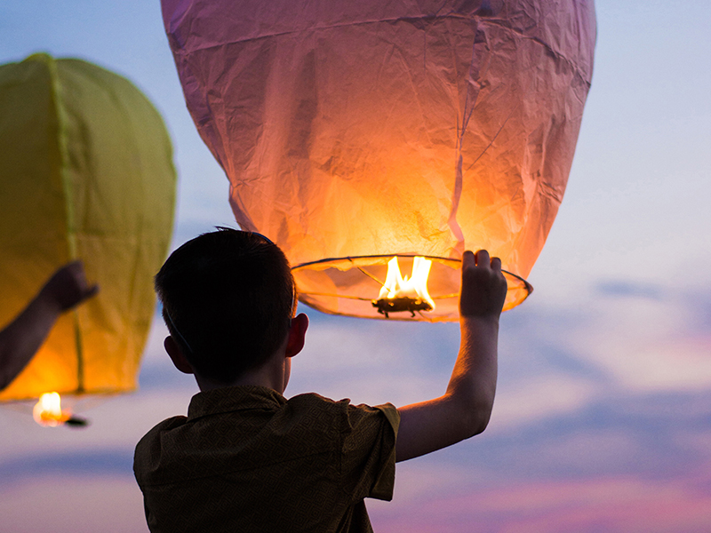 Decorative image of the 2017 Impact Report Cover