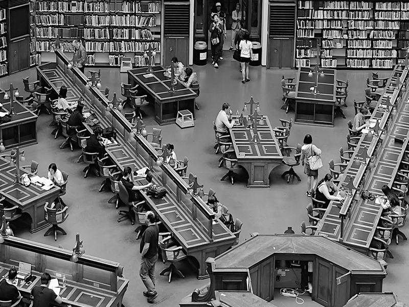 Decorative image of the 2019 Impact Report Cover