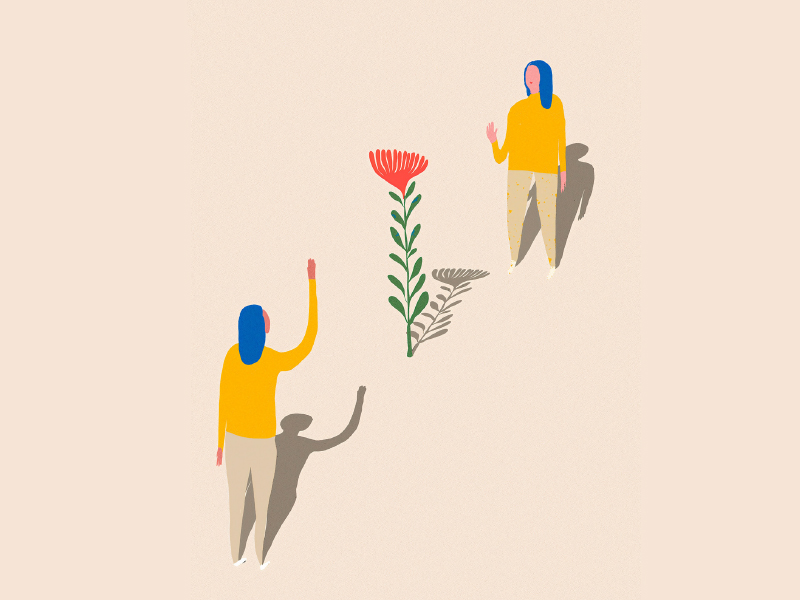 Decorative image of the 2020 Impact Report Cover