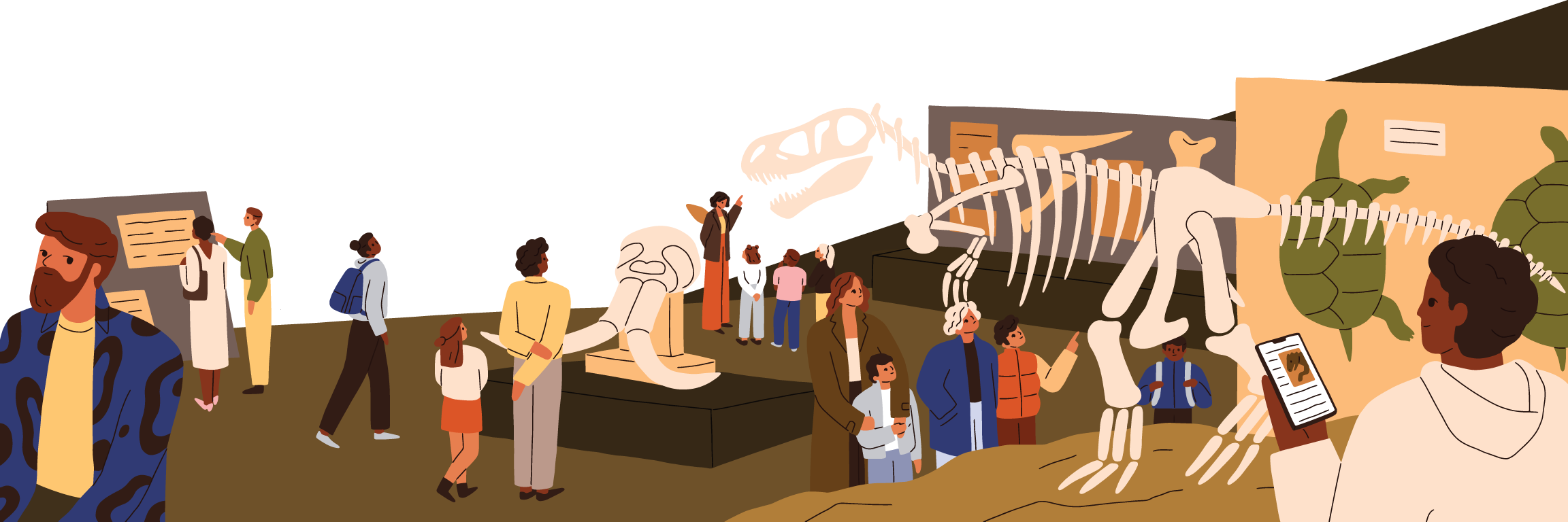 museum Museum Illustration